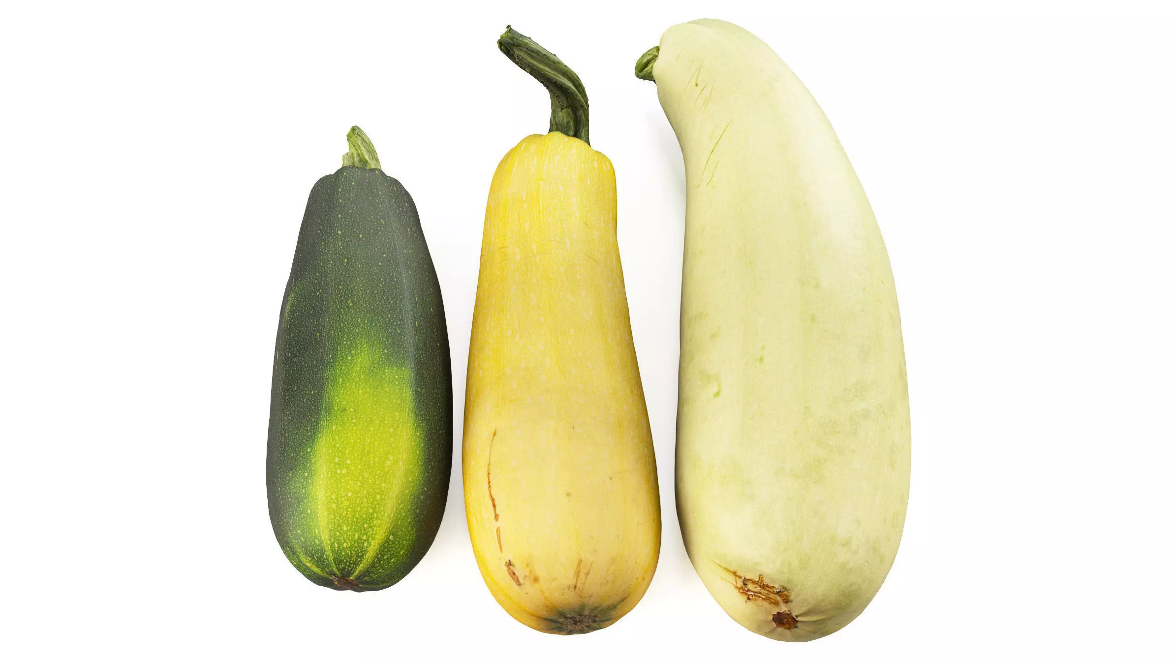 4k vegetable marrow 3D model_0