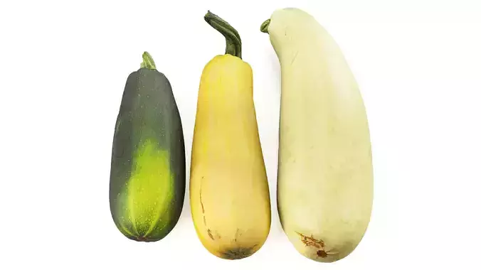 4k vegetable marrow 3D model 4k vegetable marrow 3D model