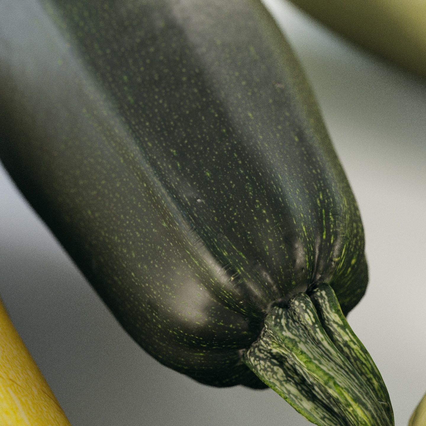 4k vegetable marrow 3D model_23