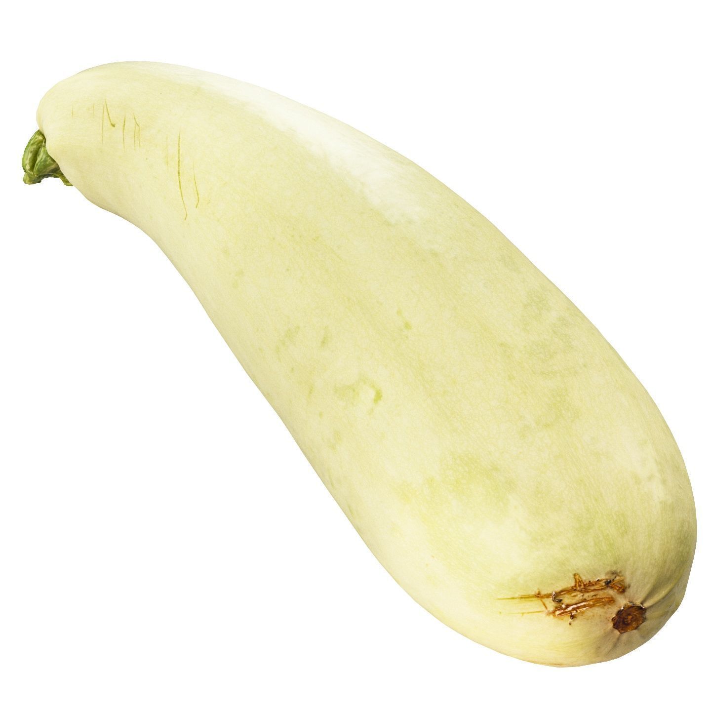 4k vegetable marrow 3D model_9