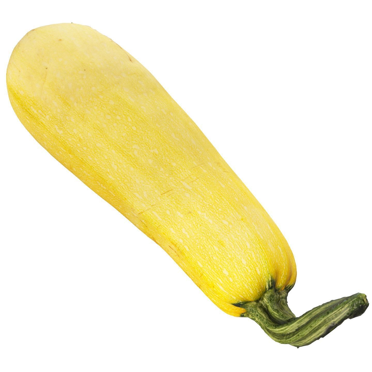 4k vegetable marrow 3D model_11