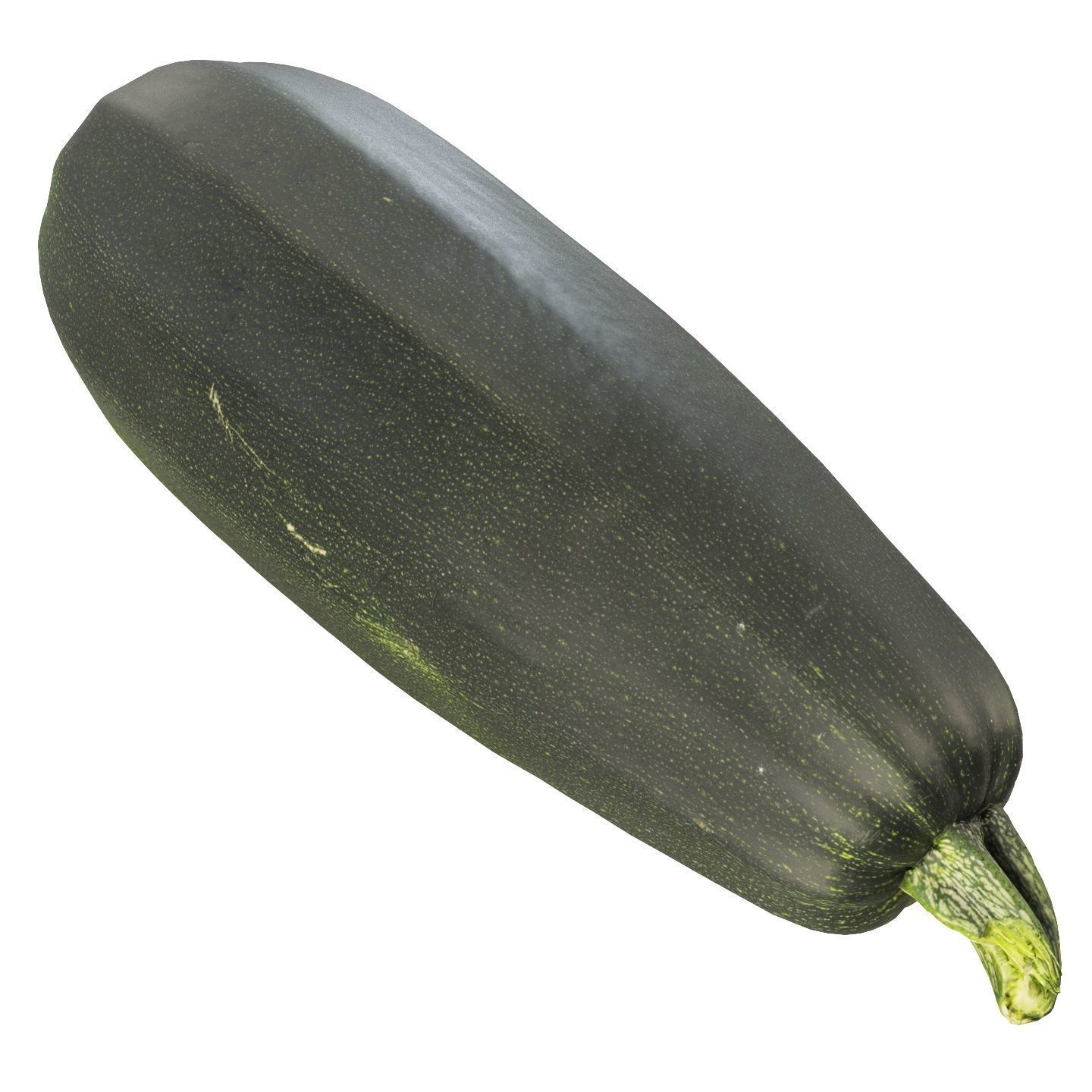 4k vegetable marrow 3D model_3