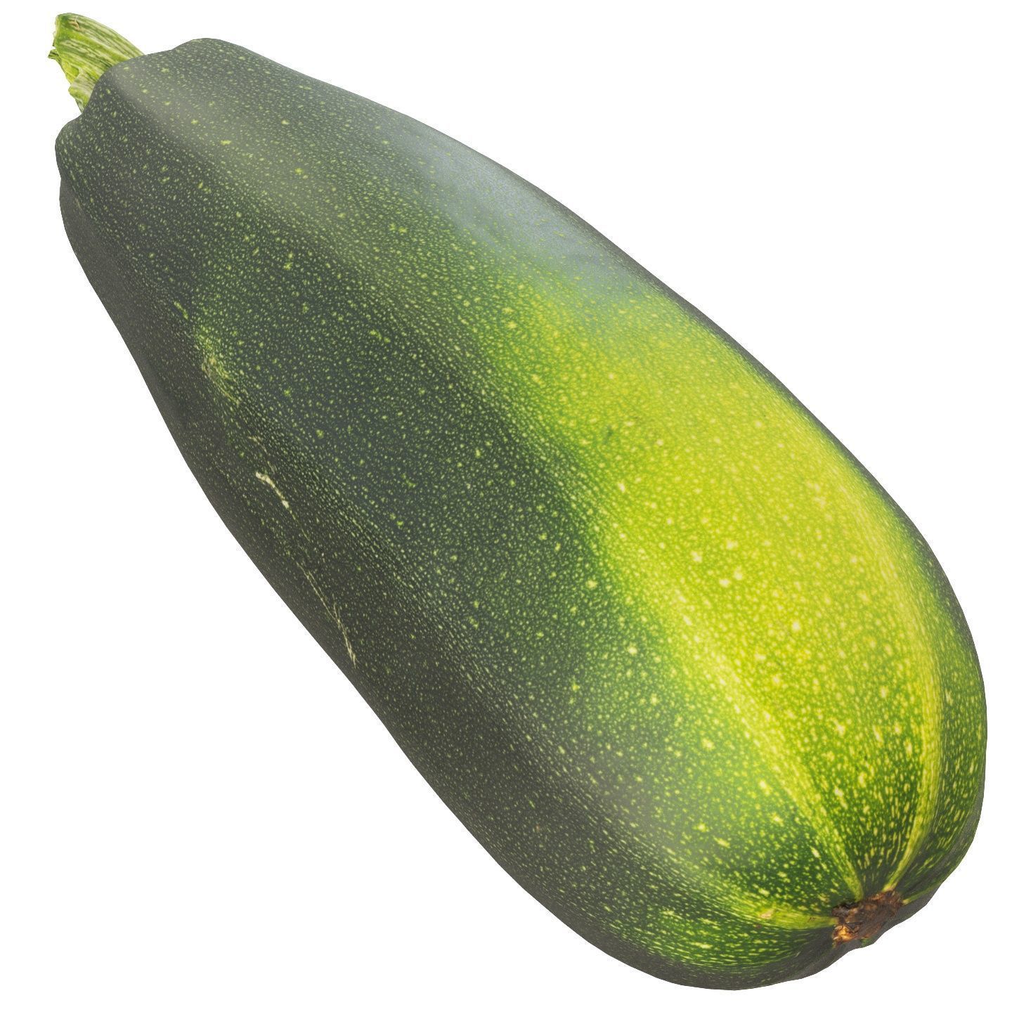 4k vegetable marrow 3D model_10