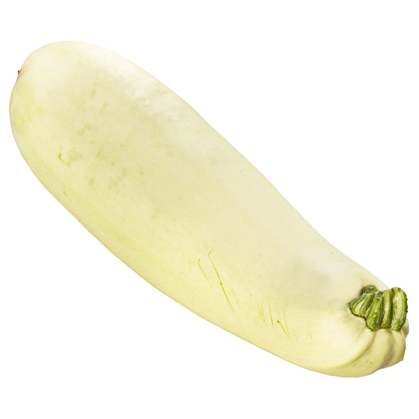 4k vegetable marrow 3D model_6