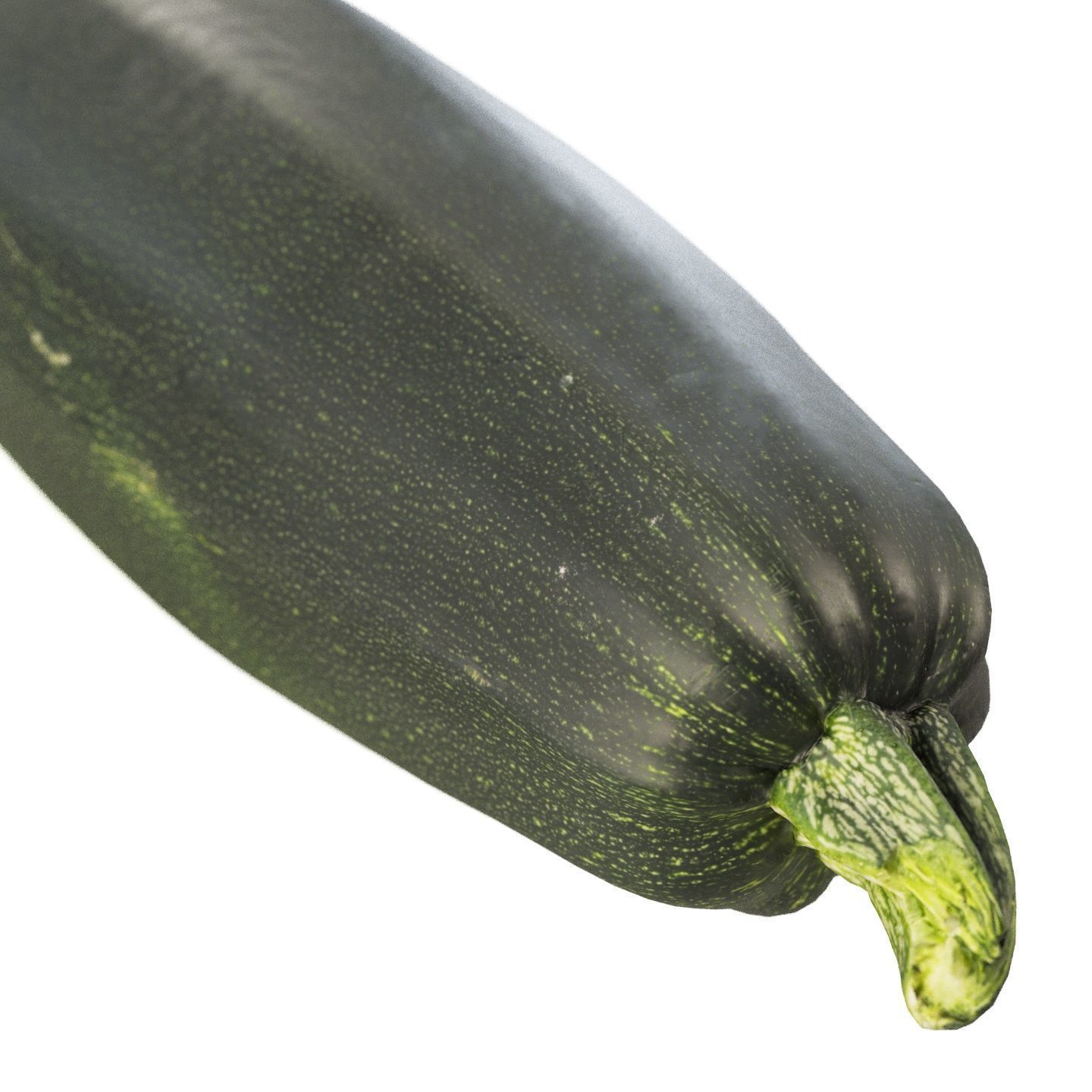 4k vegetable marrow 3D model_2