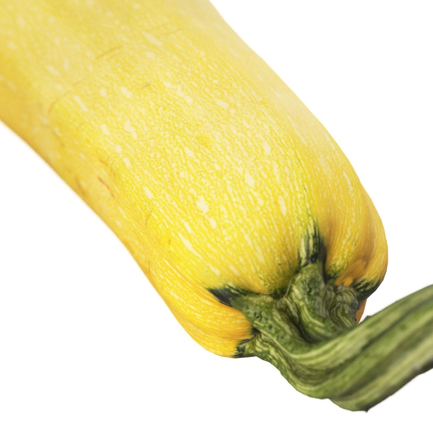 4k vegetable marrow 3D model_4