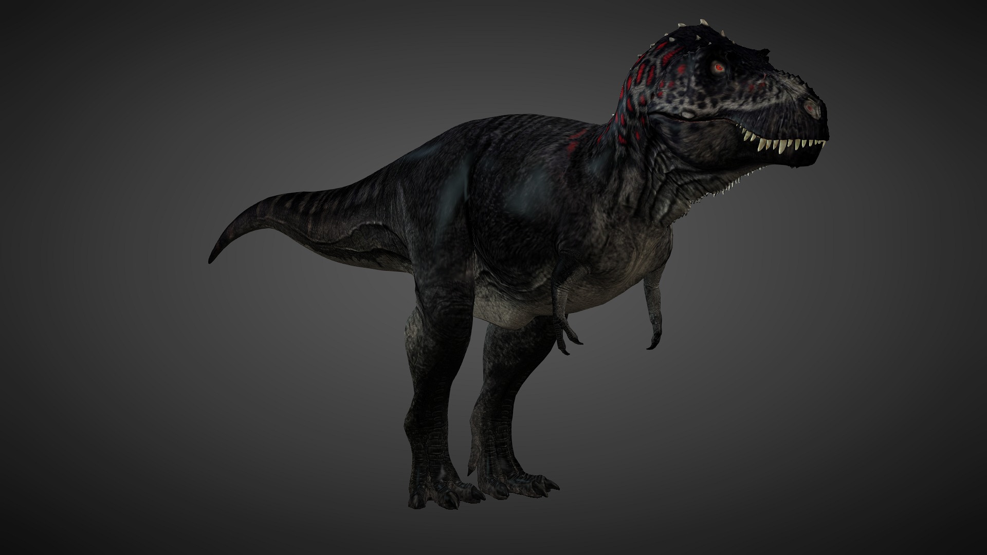 T rex animated 3d model Low-poly 3D model_5