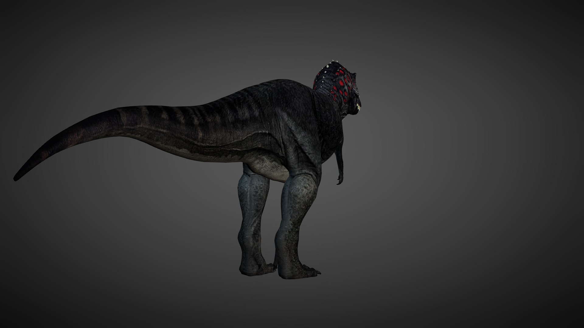 T rex animated 3d model Low-poly 3D model_8