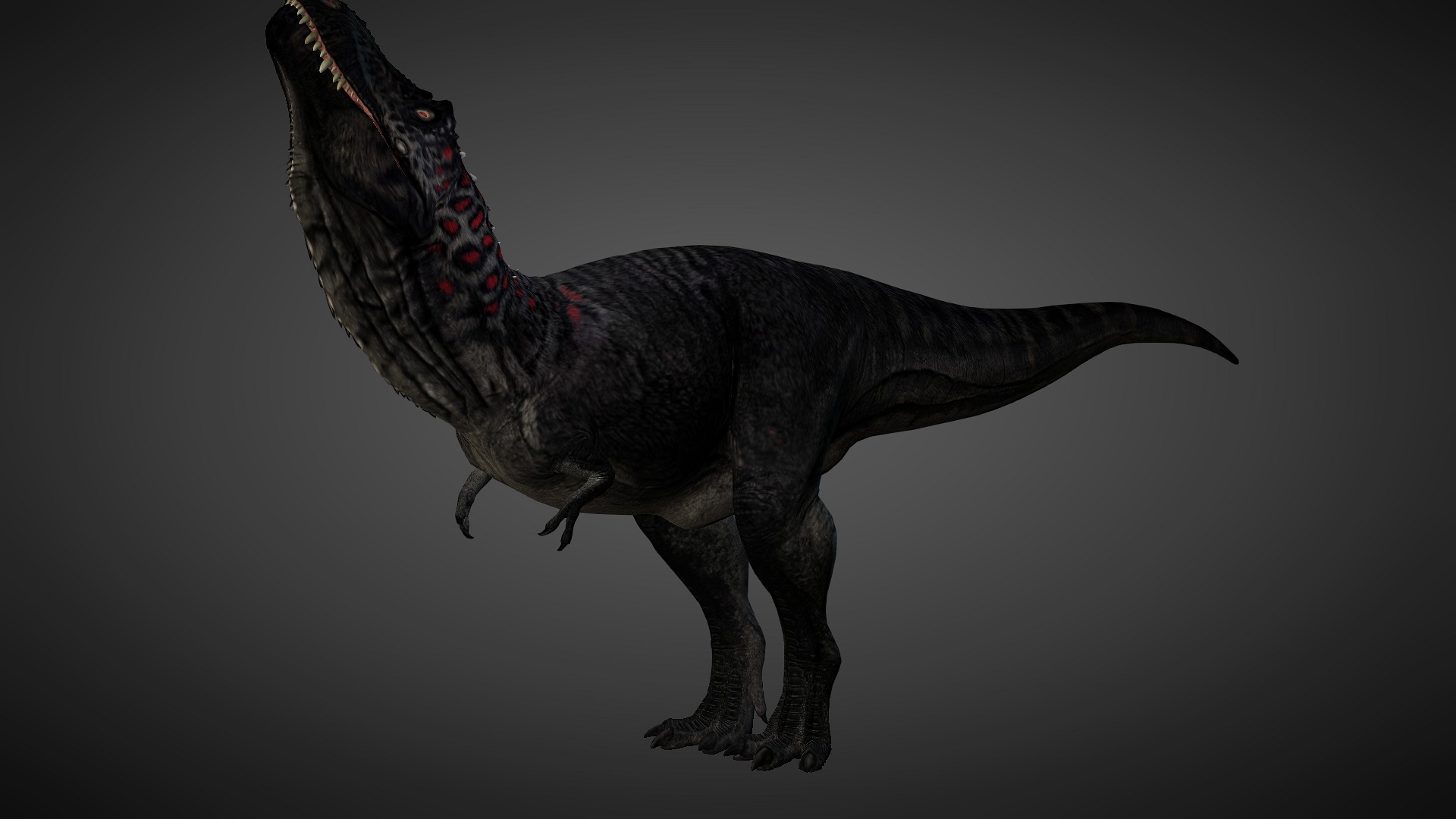 T rex animated 3d model Low-poly 3D model_12