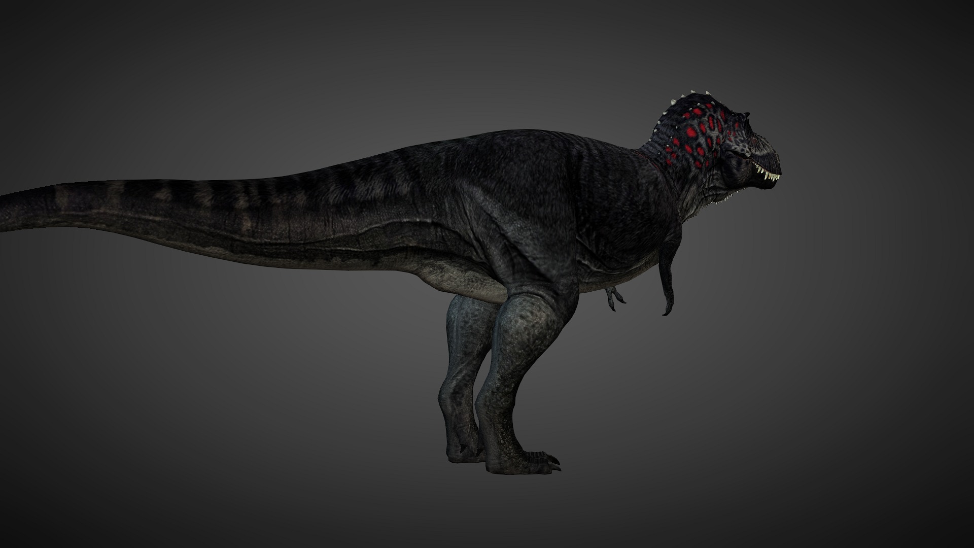 T rex animated 3d model Low-poly 3D model_7