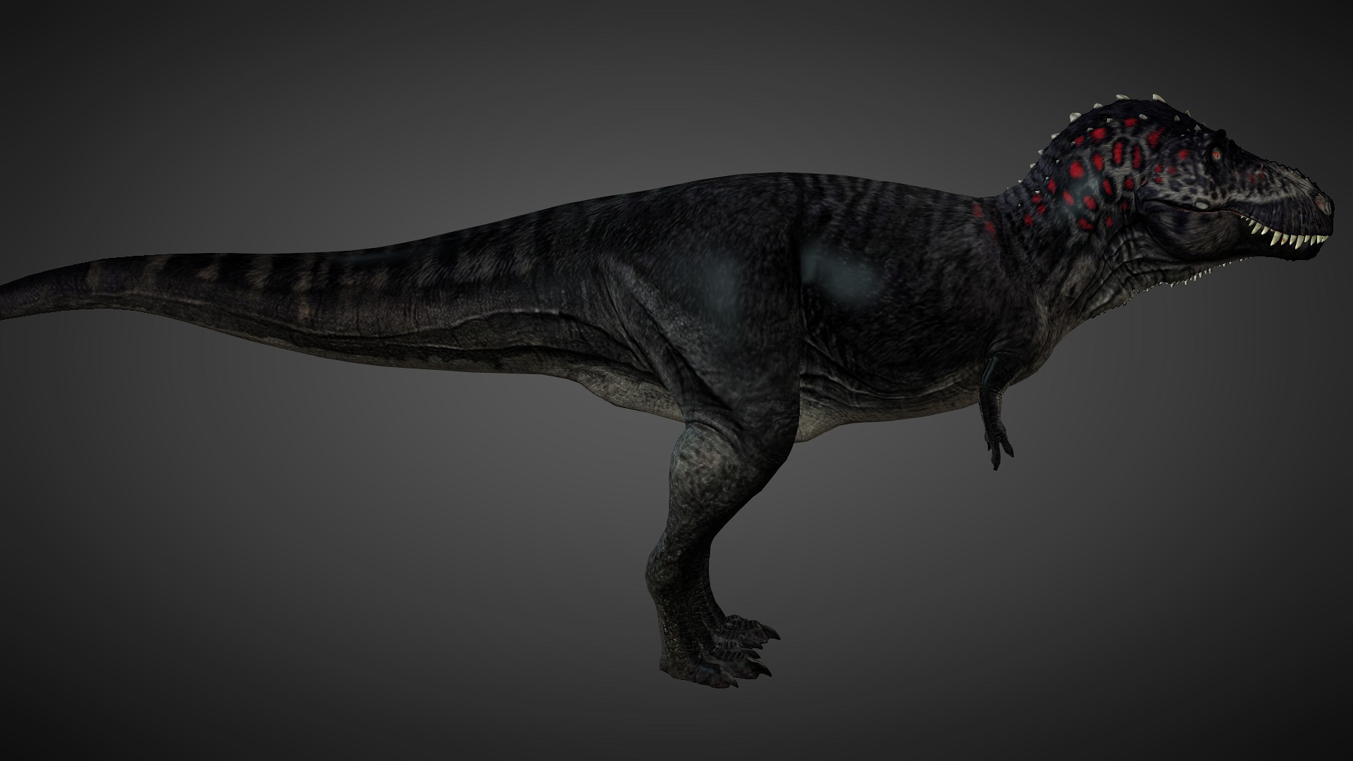 T rex animated 3d model Low-poly 3D model_6