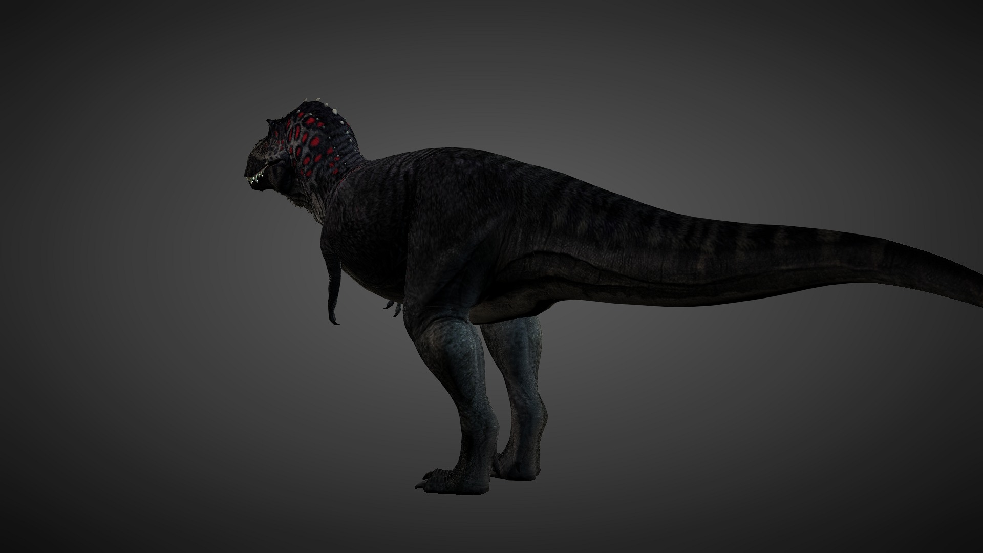 T rex animated 3d model Low-poly 3D model_10
