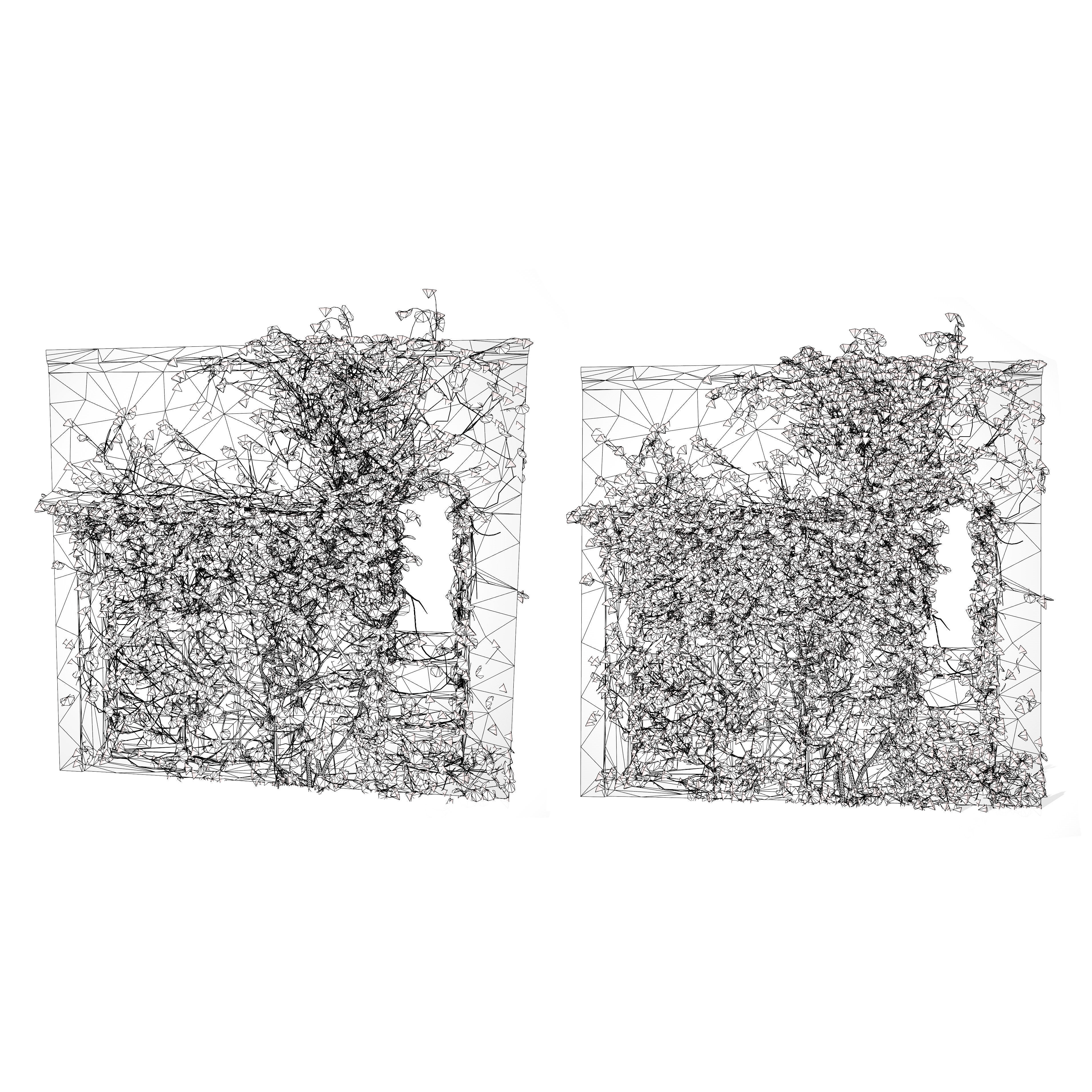 Kenilworth Ivy Wall Plant 3D Model Low-poly 3D model_7