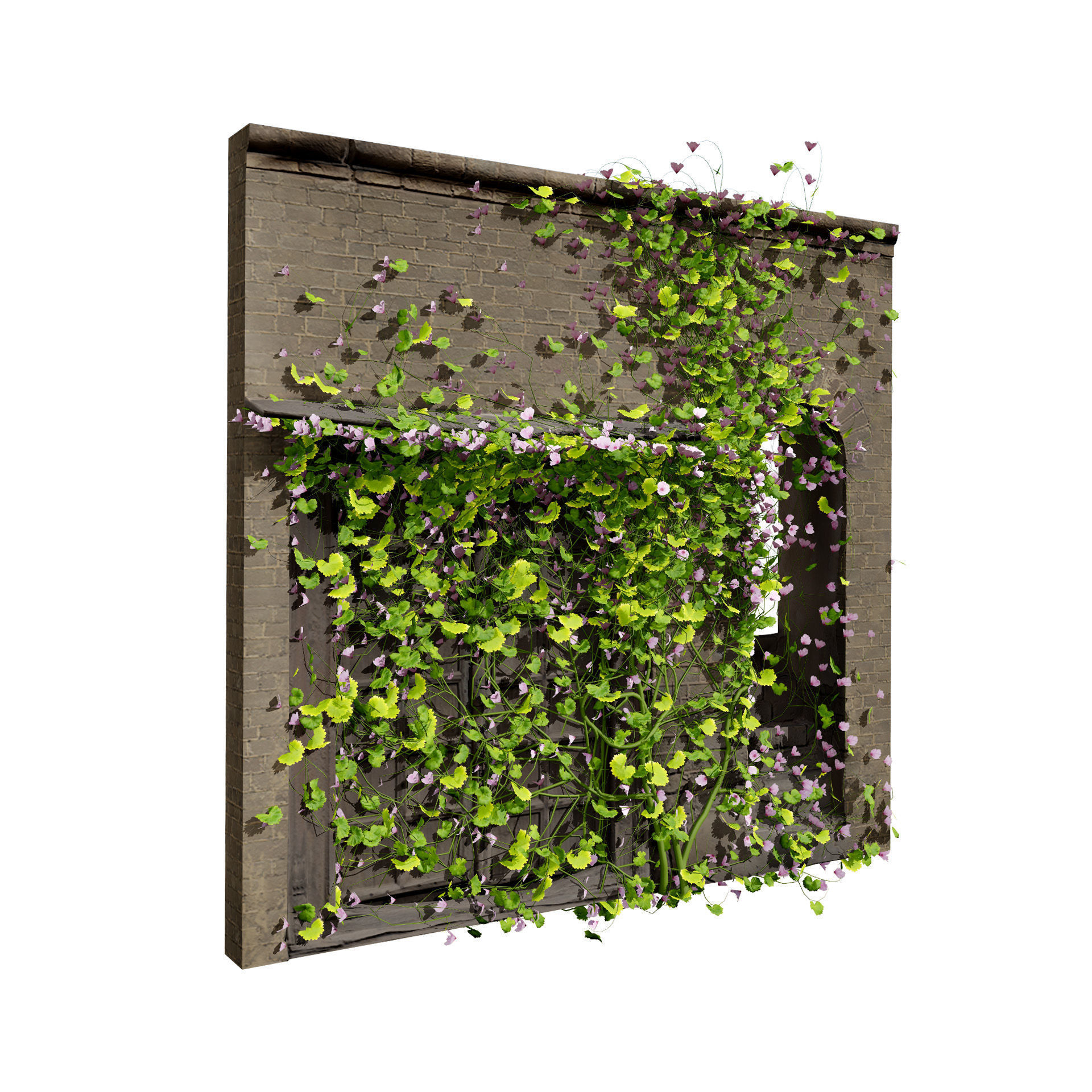 Kenilworth Ivy Wall Plant 3D Model Low-poly 3D model_5