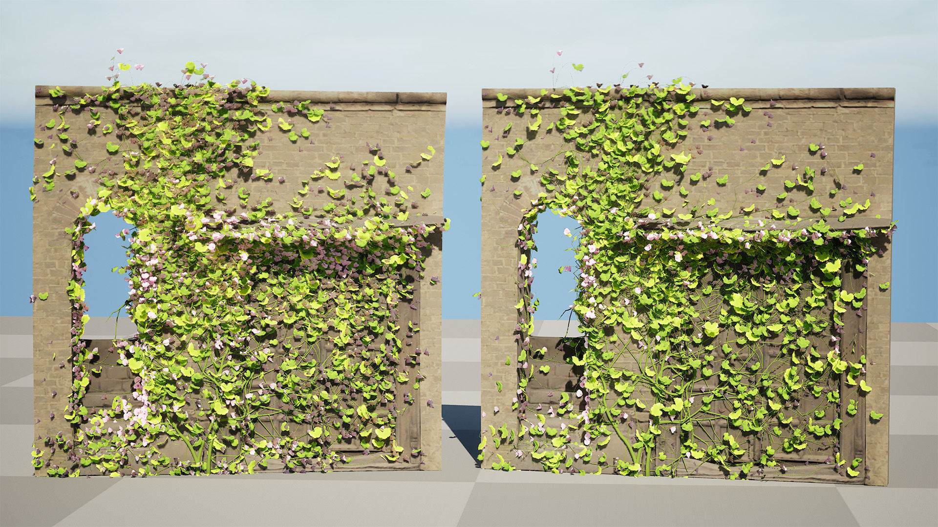 Kenilworth Ivy Wall Plant 3D Model Low-poly 3D model_3