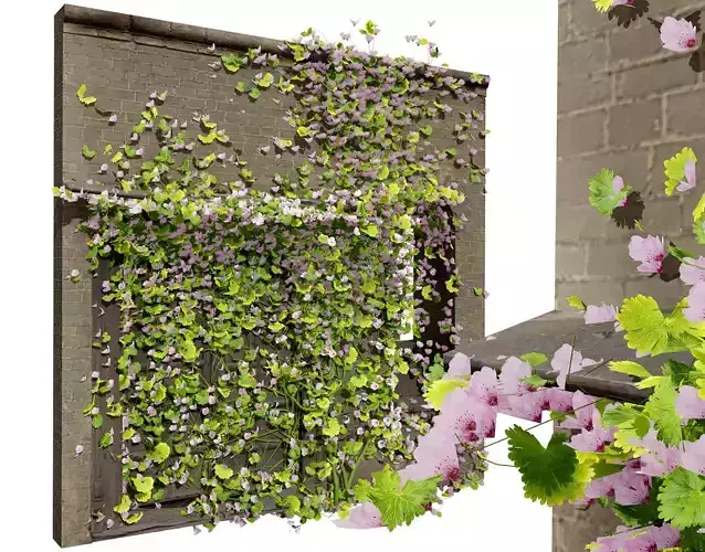 Kenilworth Ivy Wall Plant 3D Model Low-poly 3D model