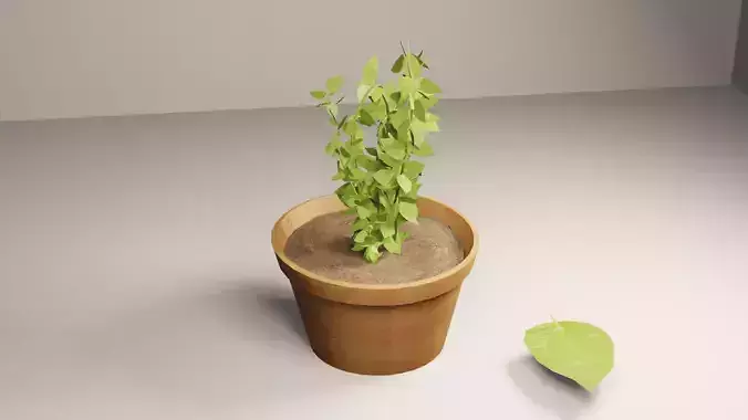 Indoor or outdoor plant in three dimensions