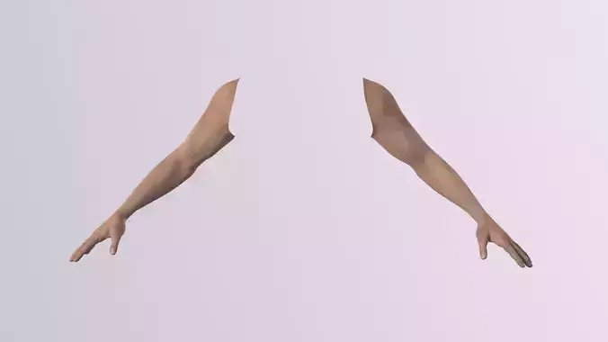 Male hand model with UV and textures