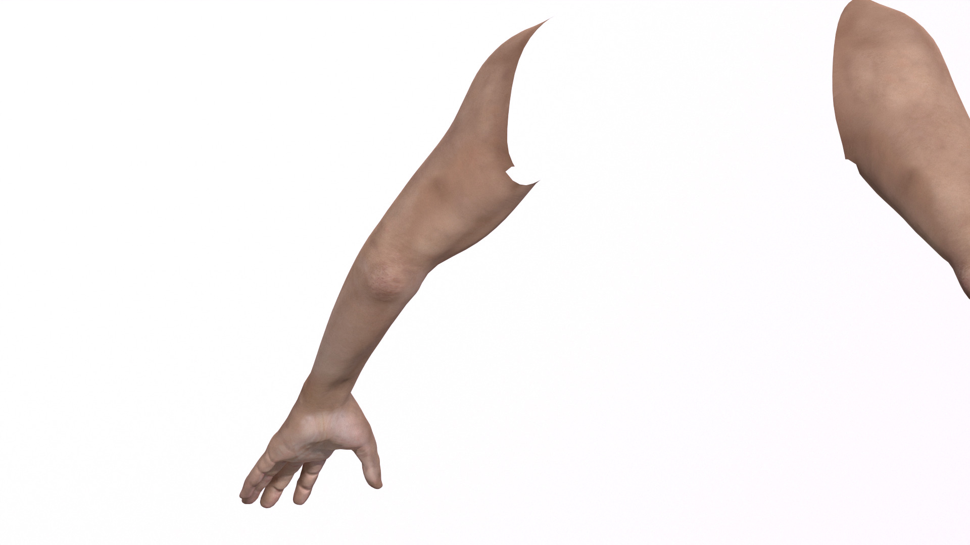 Male hand model with UV and textures Low-poly 3D model_2
