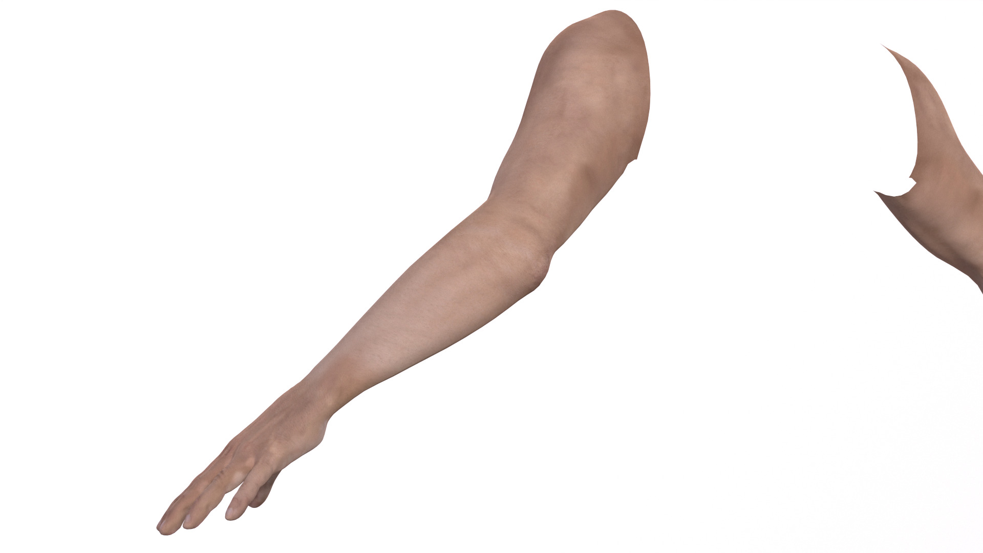 Male hand model with UV and textures Low-poly 3D model_5