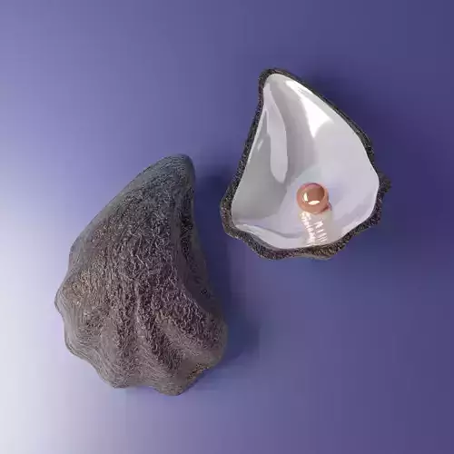 oyster shell volume 2 3D print model