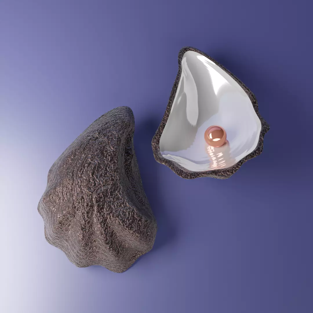 oyster shell volume 2 3D print model_0