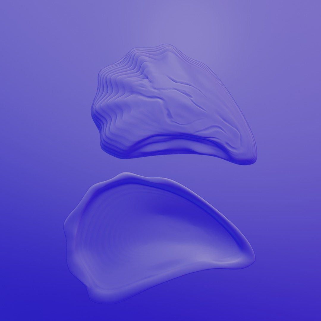 oyster shell volume 2 3D print model_4