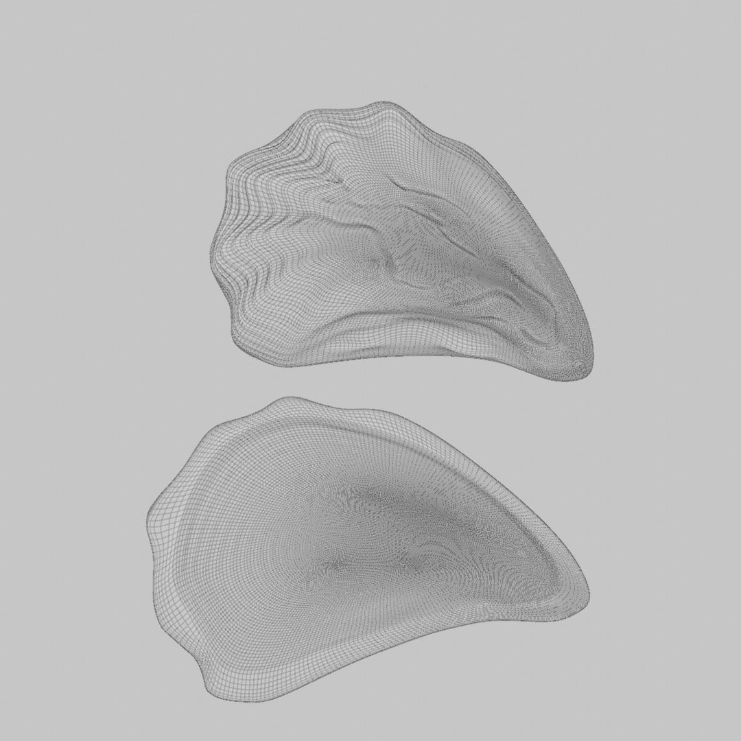 oyster shell volume 2 3D print model_3