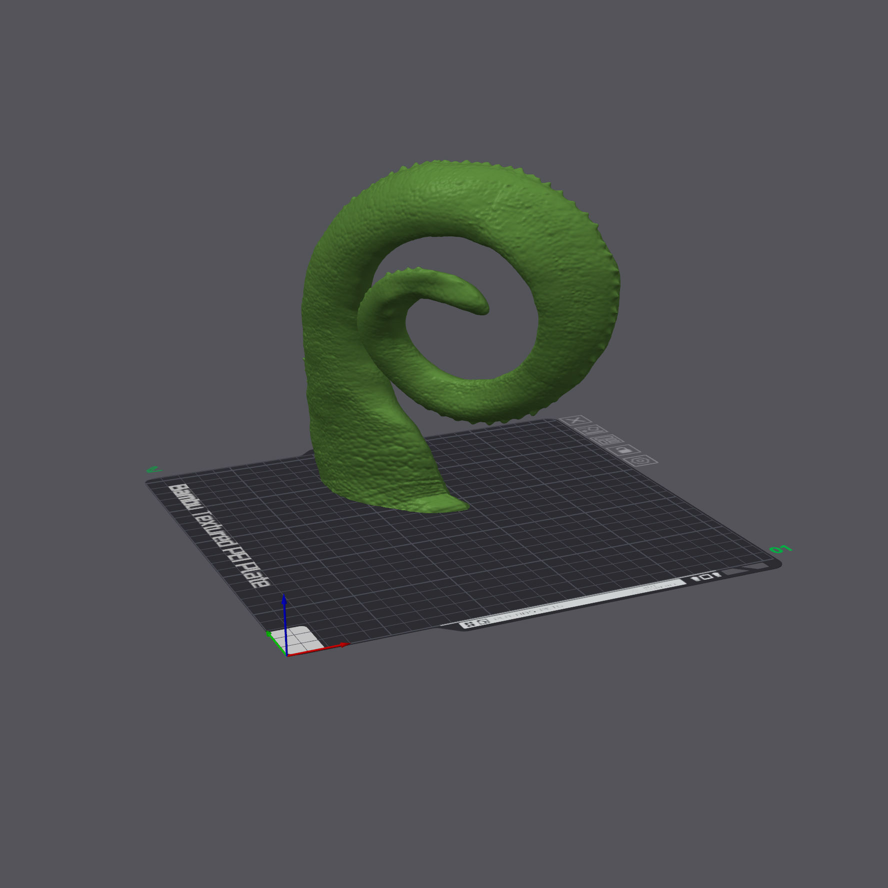 Panther Chameleon - Furcifer pardalis V1 3D print model_11