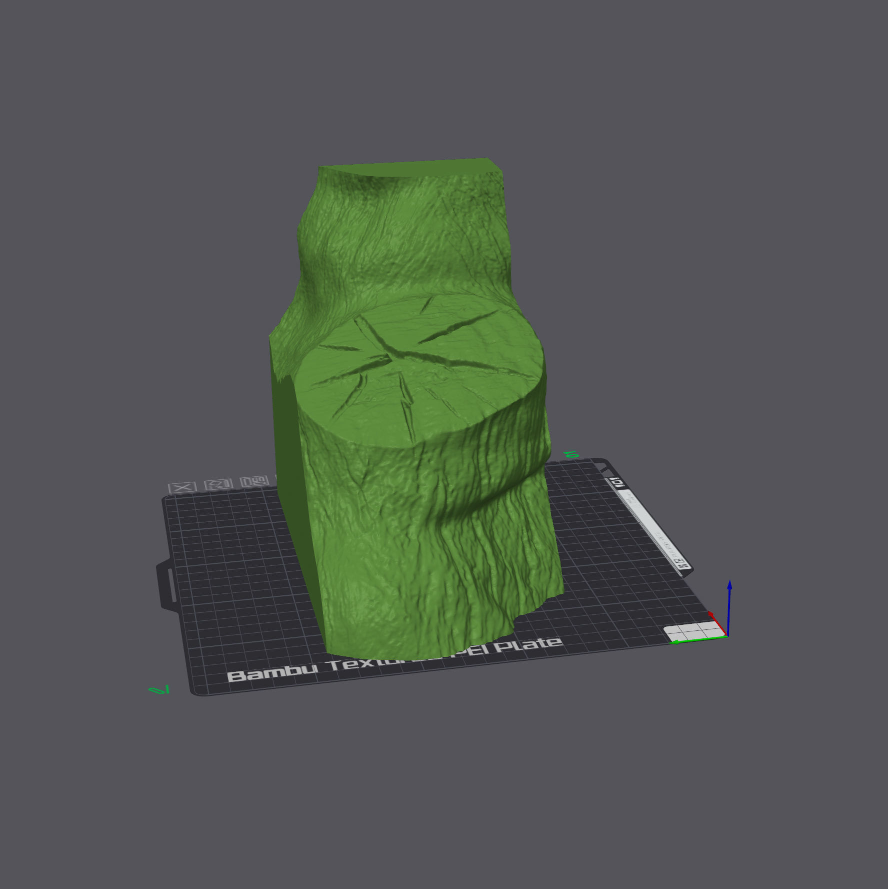 Panther Chameleon - Furcifer pardalis V1 3D print model_16