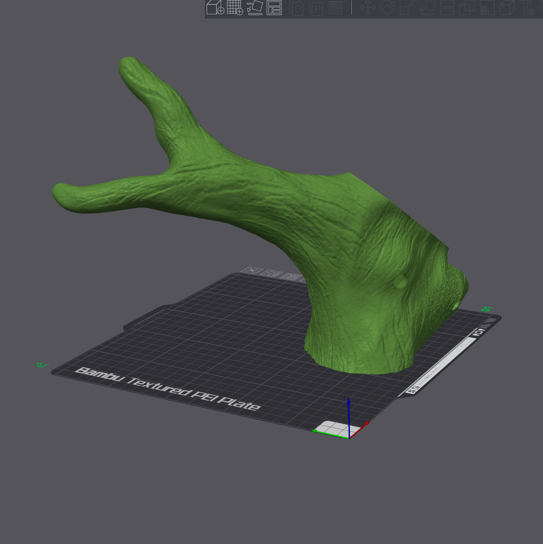 Panther Chameleon - Furcifer pardalis V1 3D print model_23