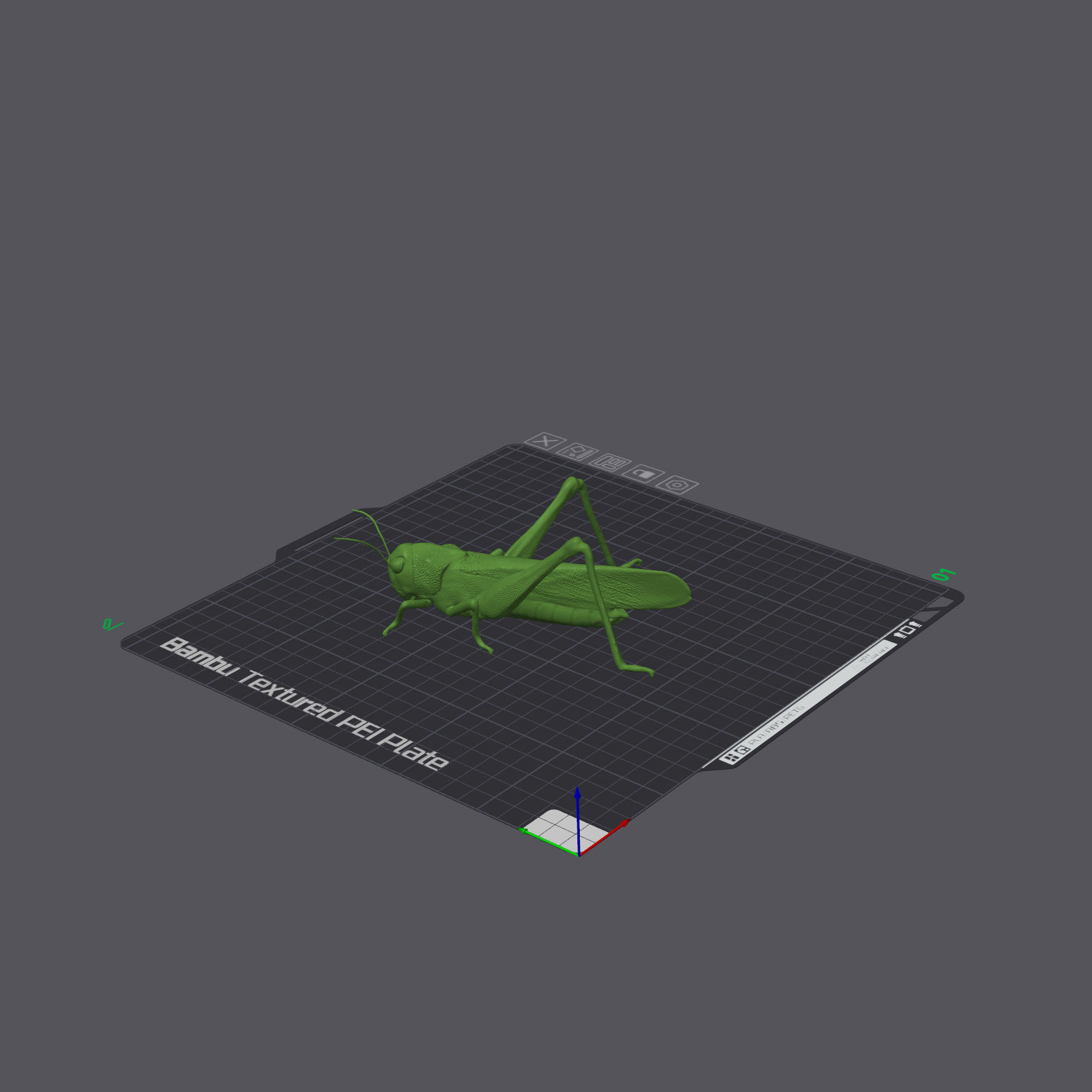 Panther Chameleon - Furcifer pardalis V1 3D print model_8