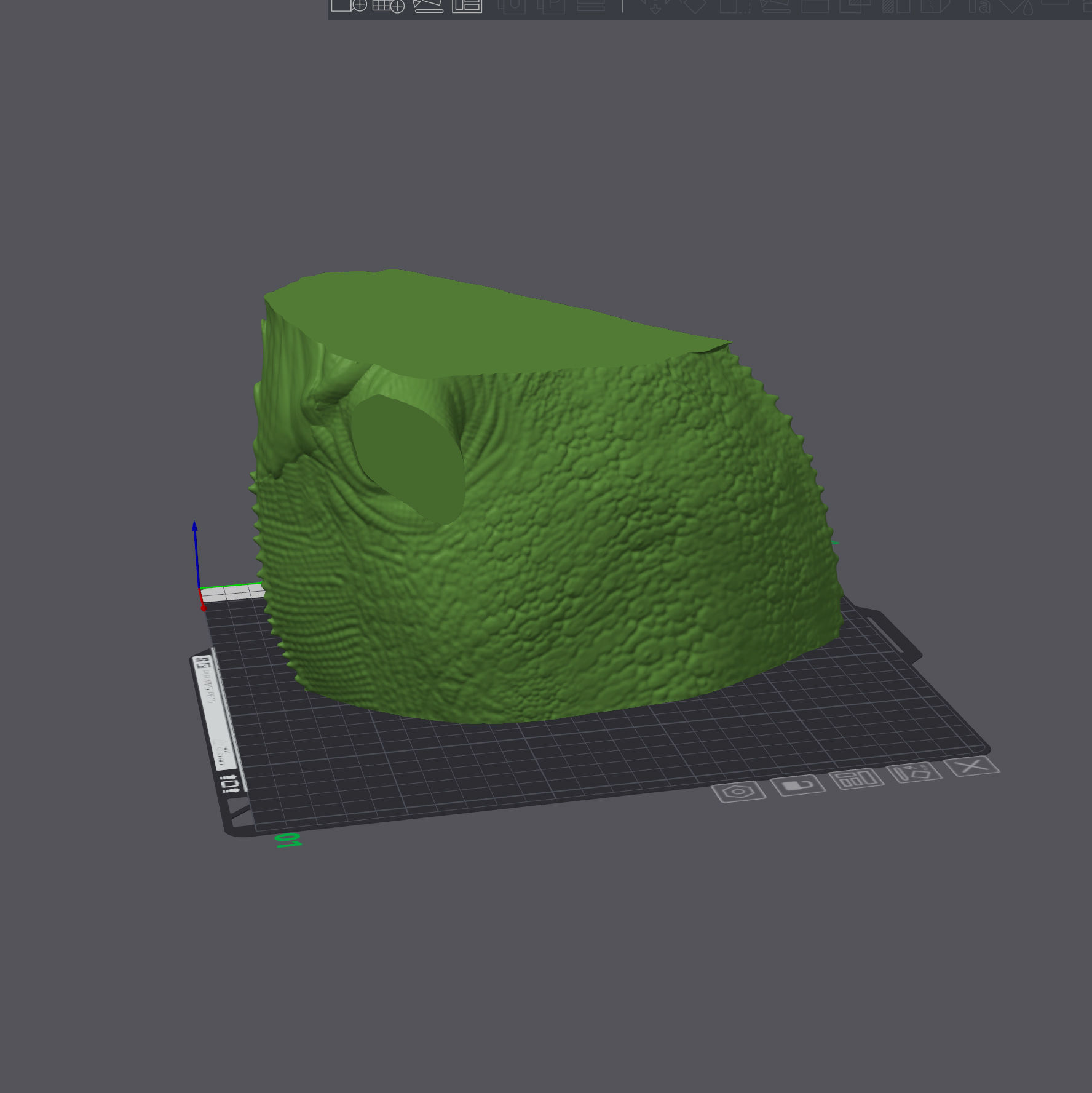 Panther Chameleon - Furcifer pardalis V1 3D print model_13