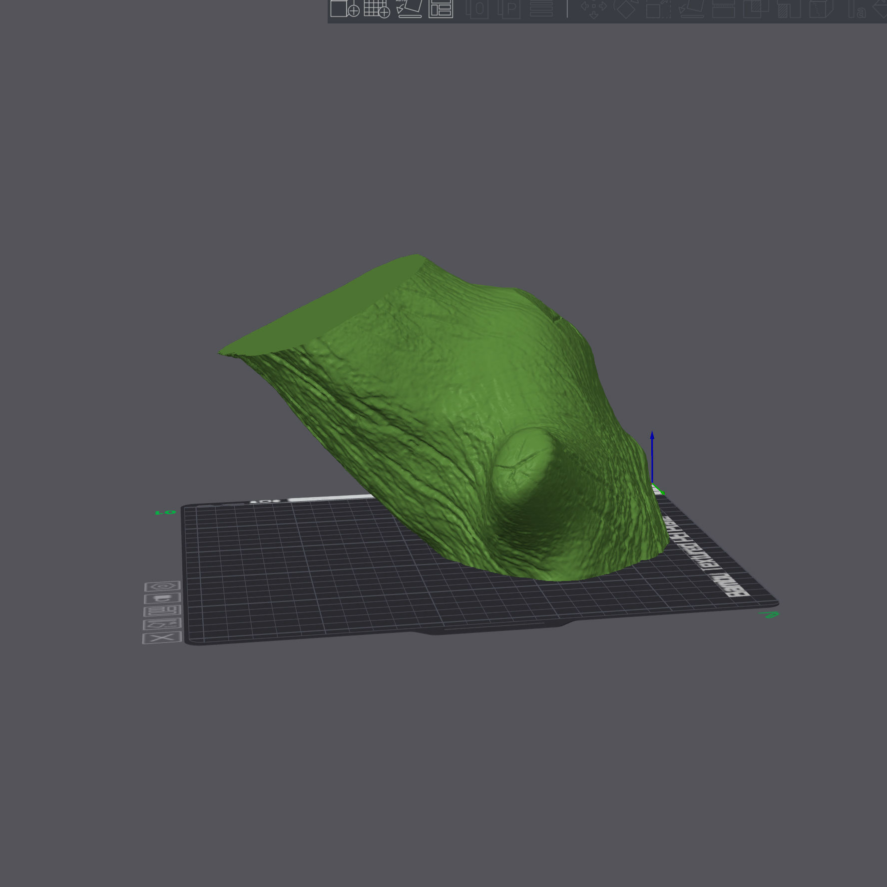 Panther Chameleon - Furcifer pardalis V1 3D print model_17