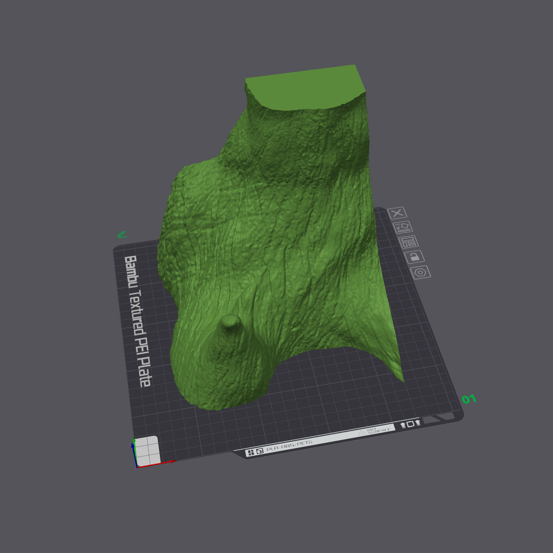 Panther Chameleon - Furcifer pardalis V1 3D print model_21