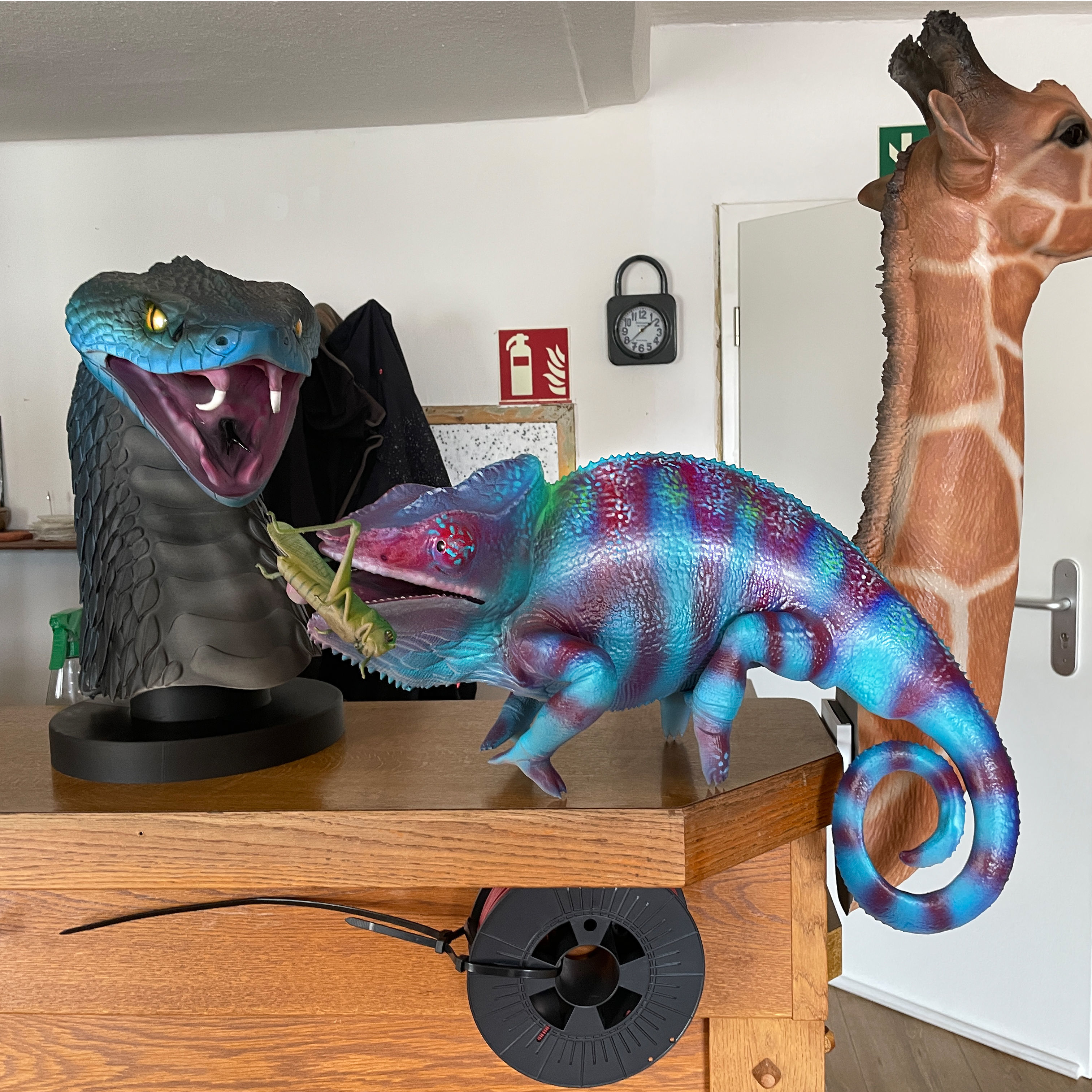 Panther Chameleon - Furcifer pardalis V1 3D print model_4