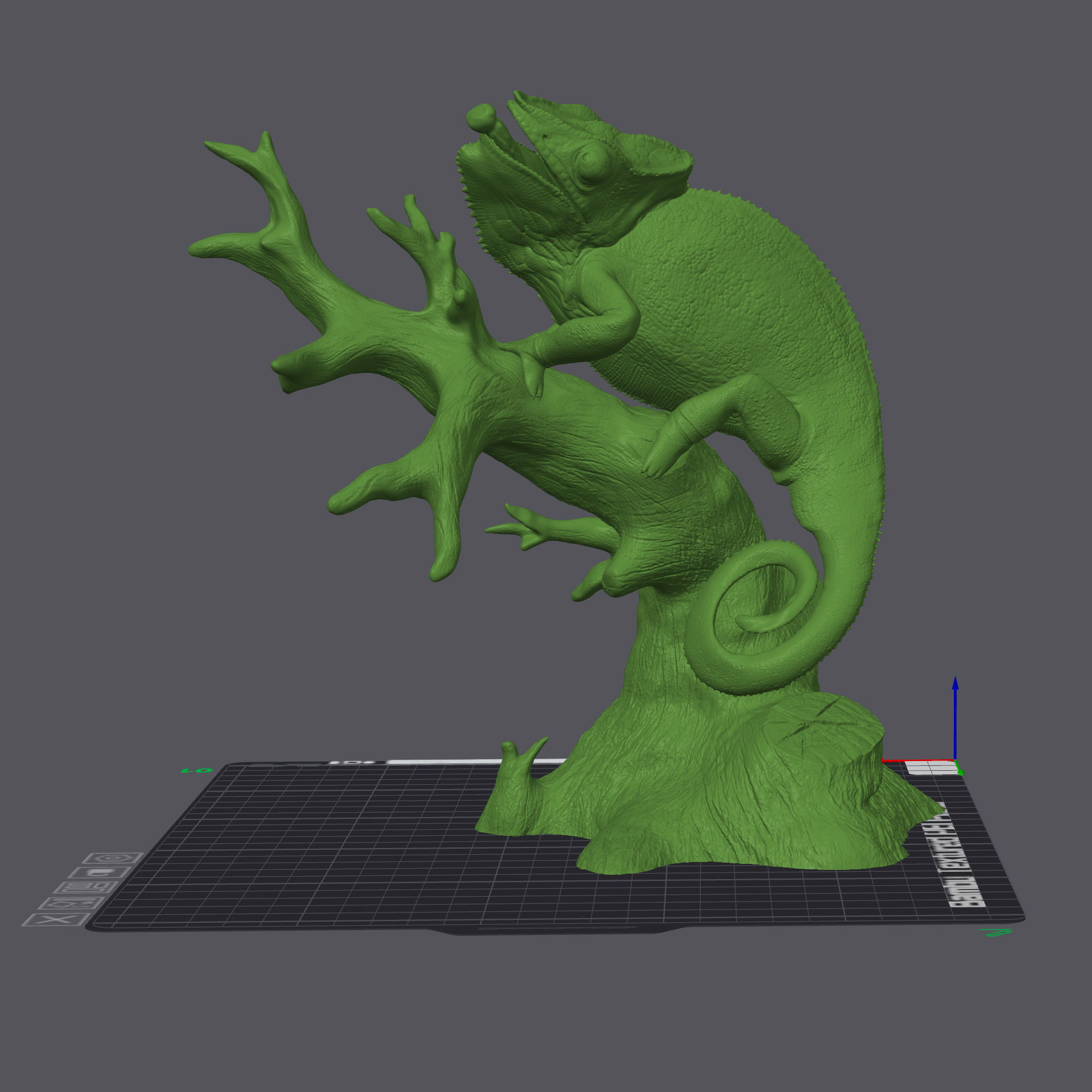 Panther Chameleon - Furcifer pardalis V1 3D print model_22