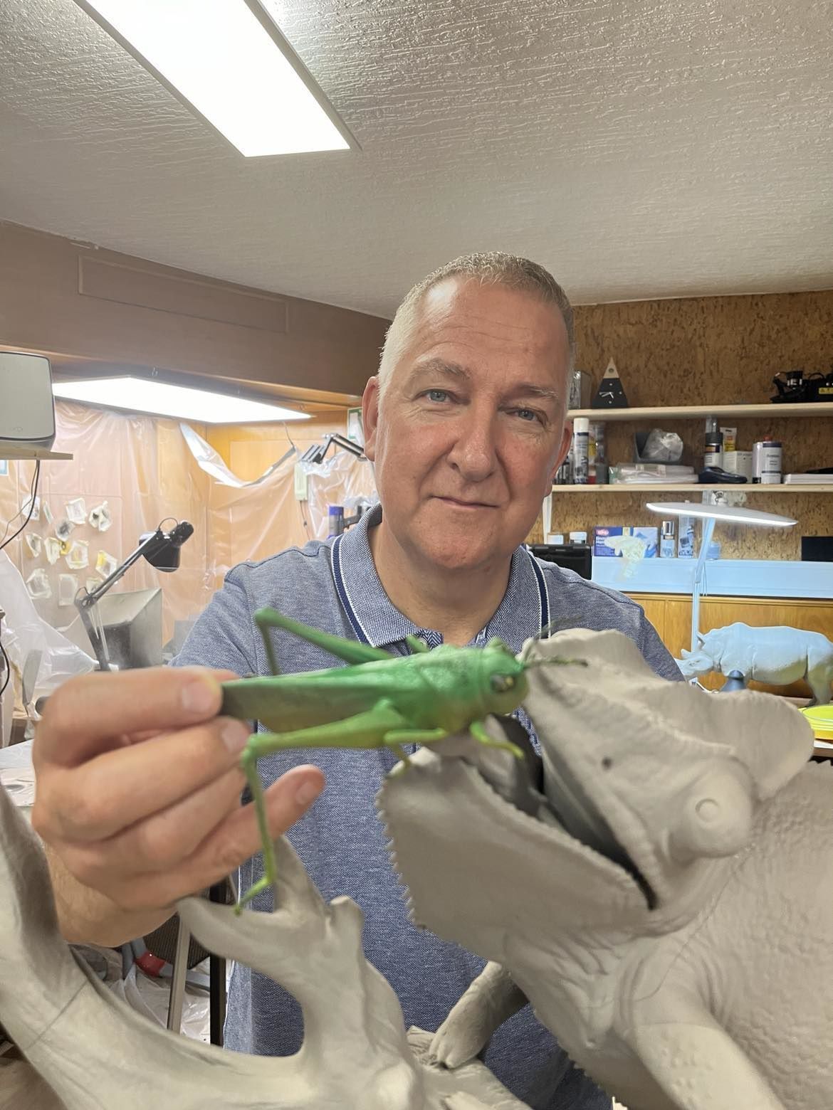 Panther Chameleon - Furcifer pardalis V1 3D print model_5