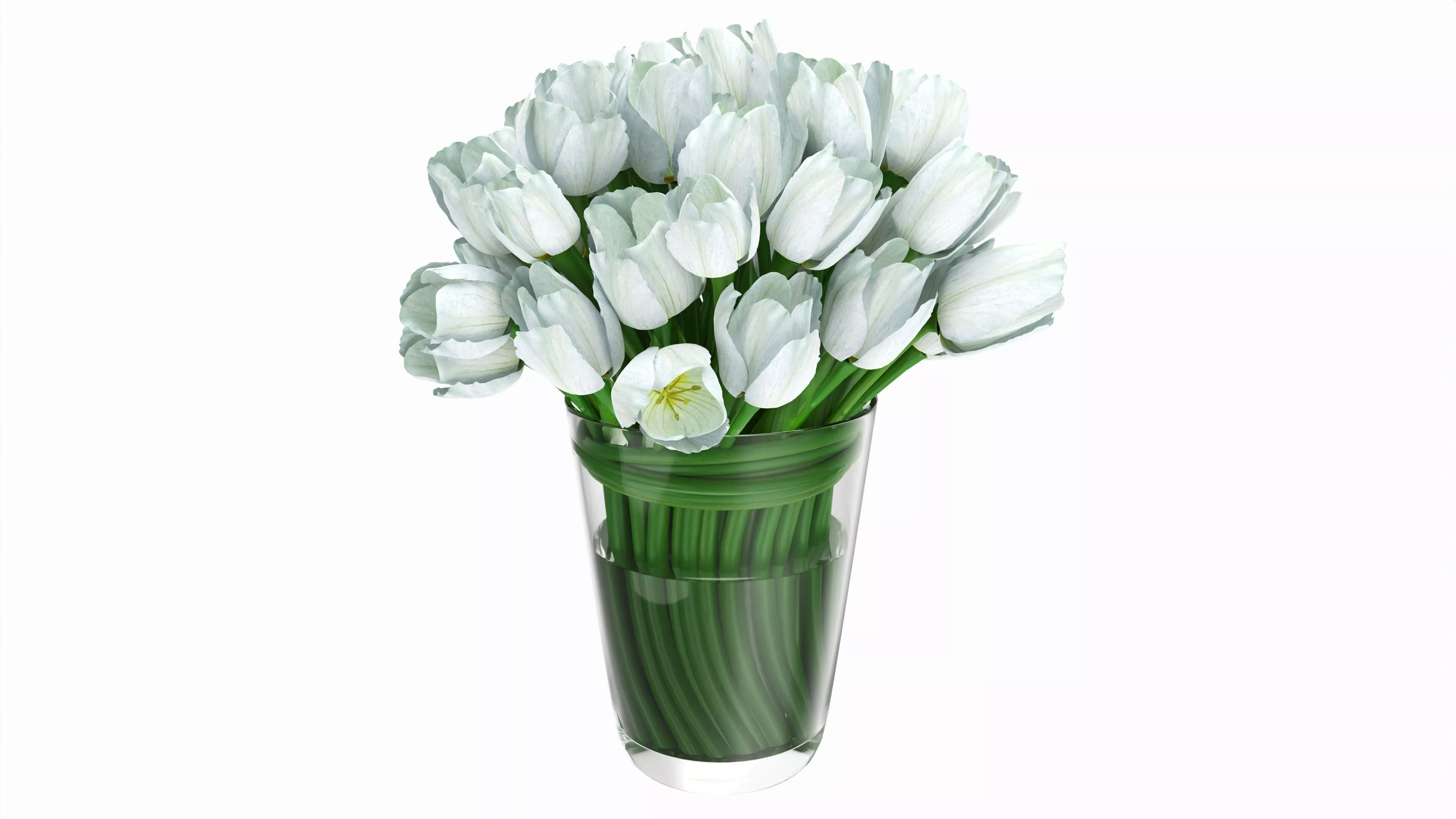 Tulips in large vase 3D model