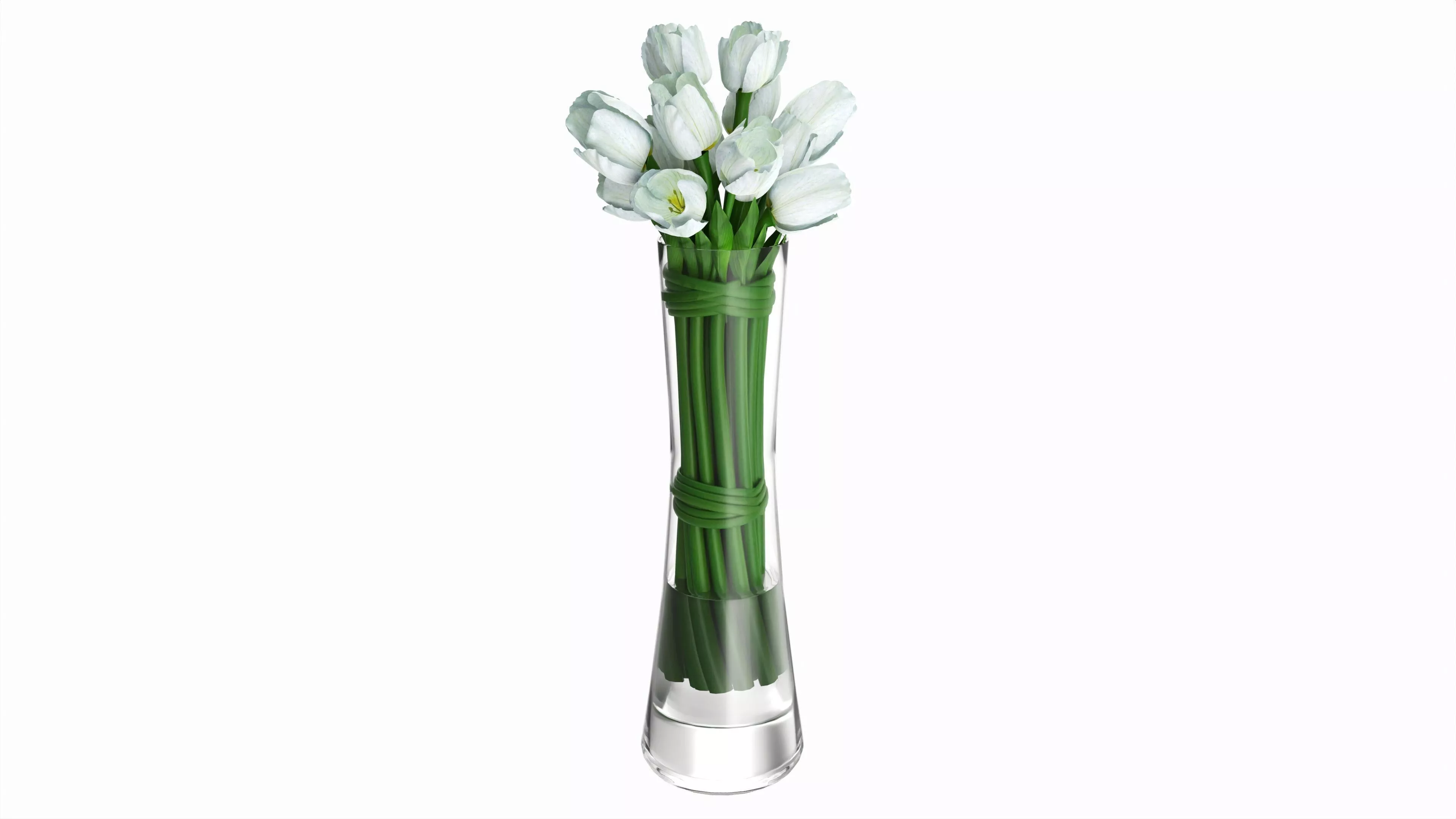 Tulips in long vase 3D model