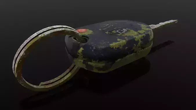 Dirty Key 3D Model  Low-poly 3D model