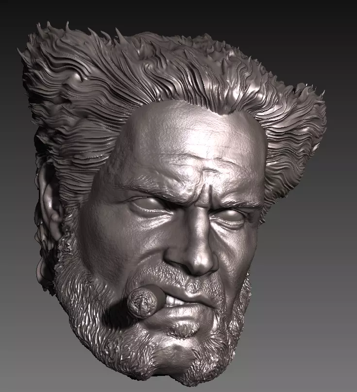 HENRY CAVILL- WOLVERINE VARIANT with cigar 3D print model_0