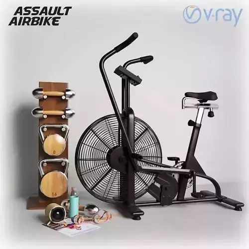 Assault Air Bike 