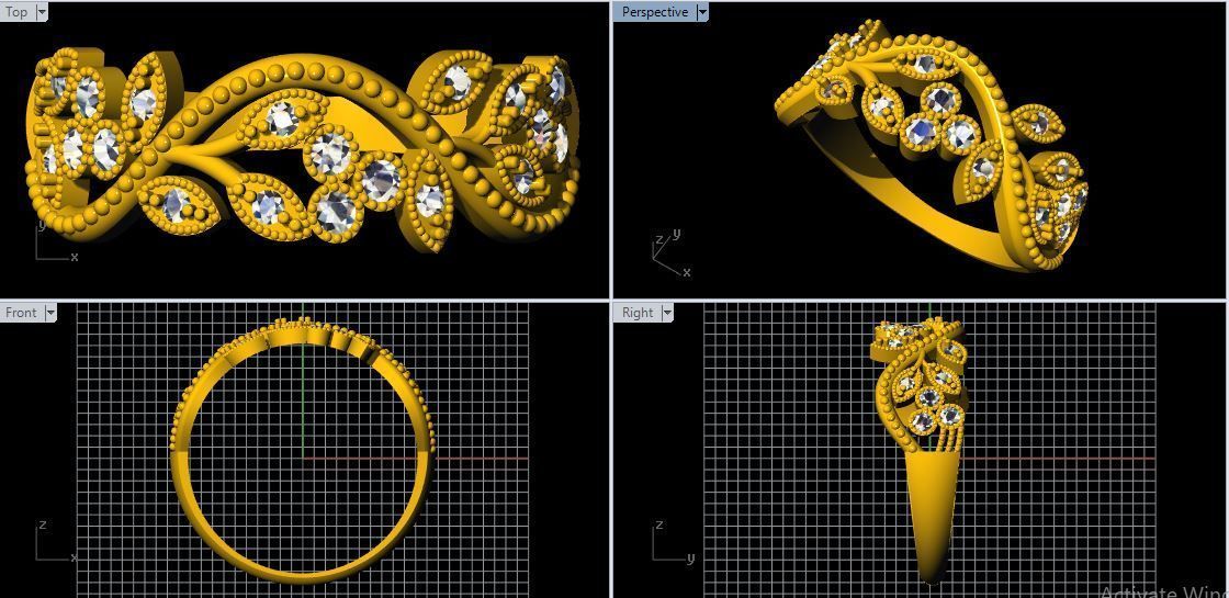 Antique Ring 3dm file 3D print model_1