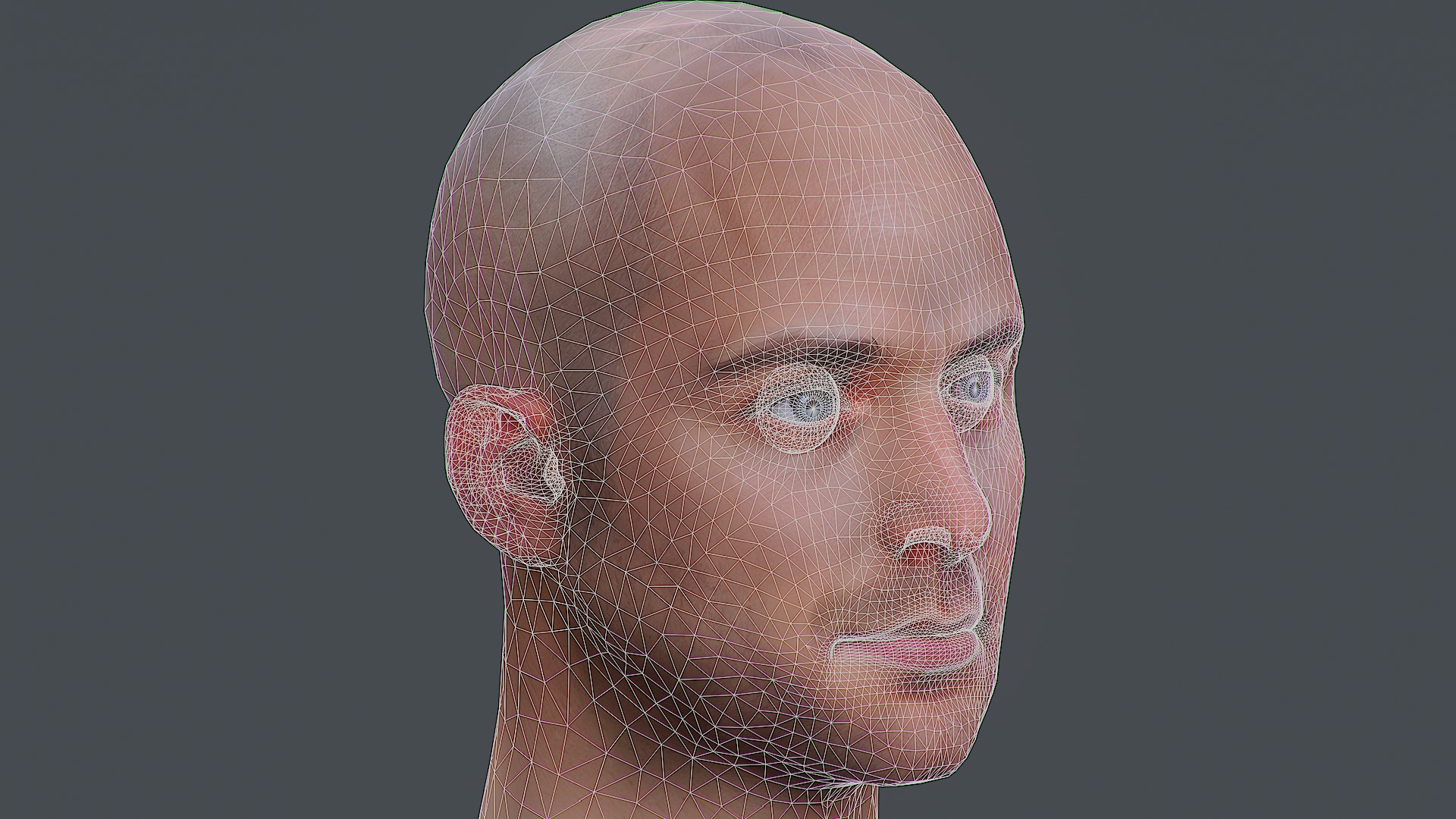Male head Realistic Perfect Head Low-poly 3D model game ready  Low-poly 3D model_15