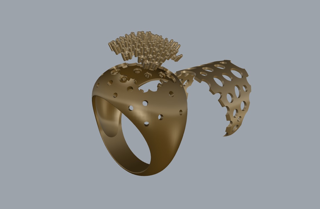 R 186 cluster ring 3D print model_12