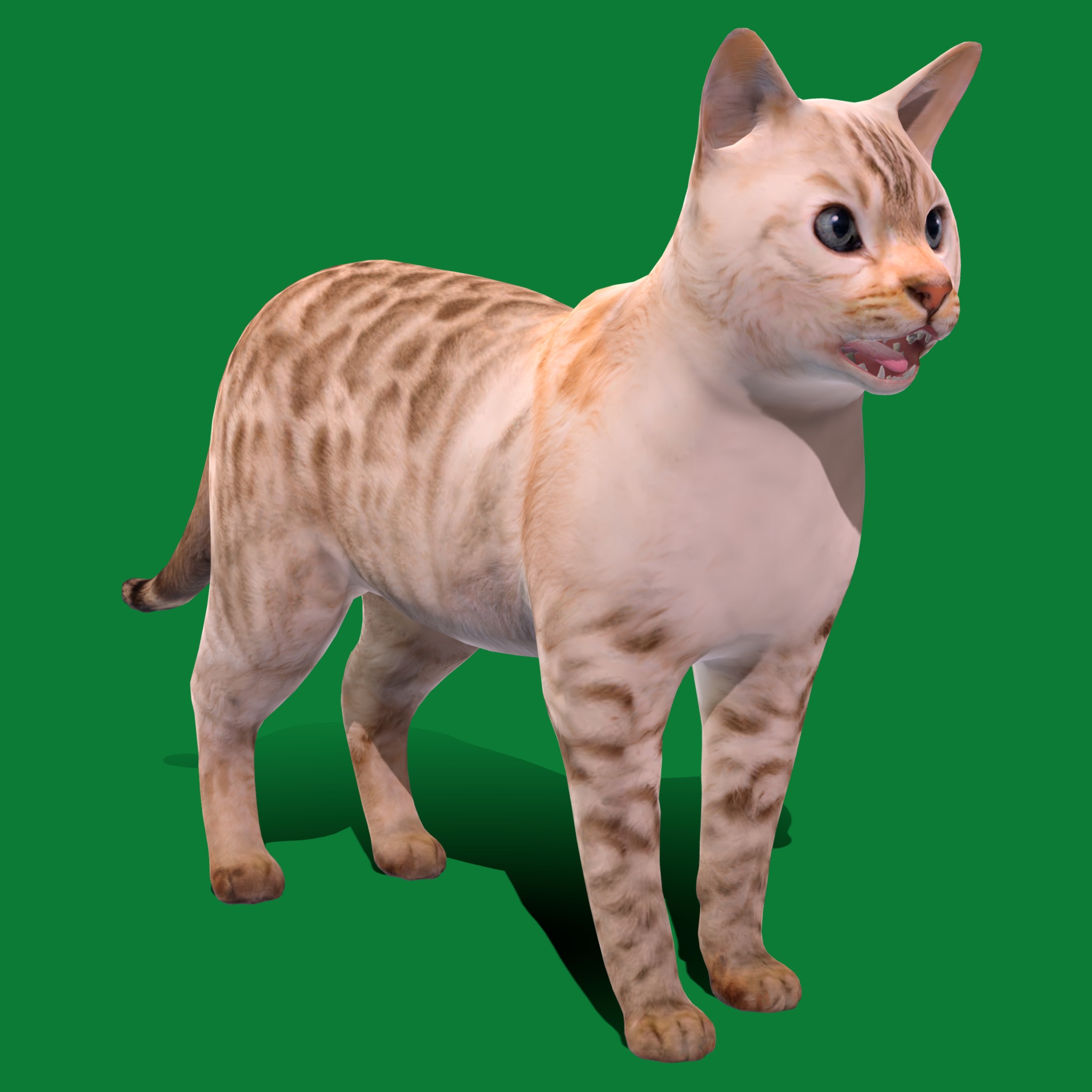 Snow Bengal Cat Low-poly 3D model_26