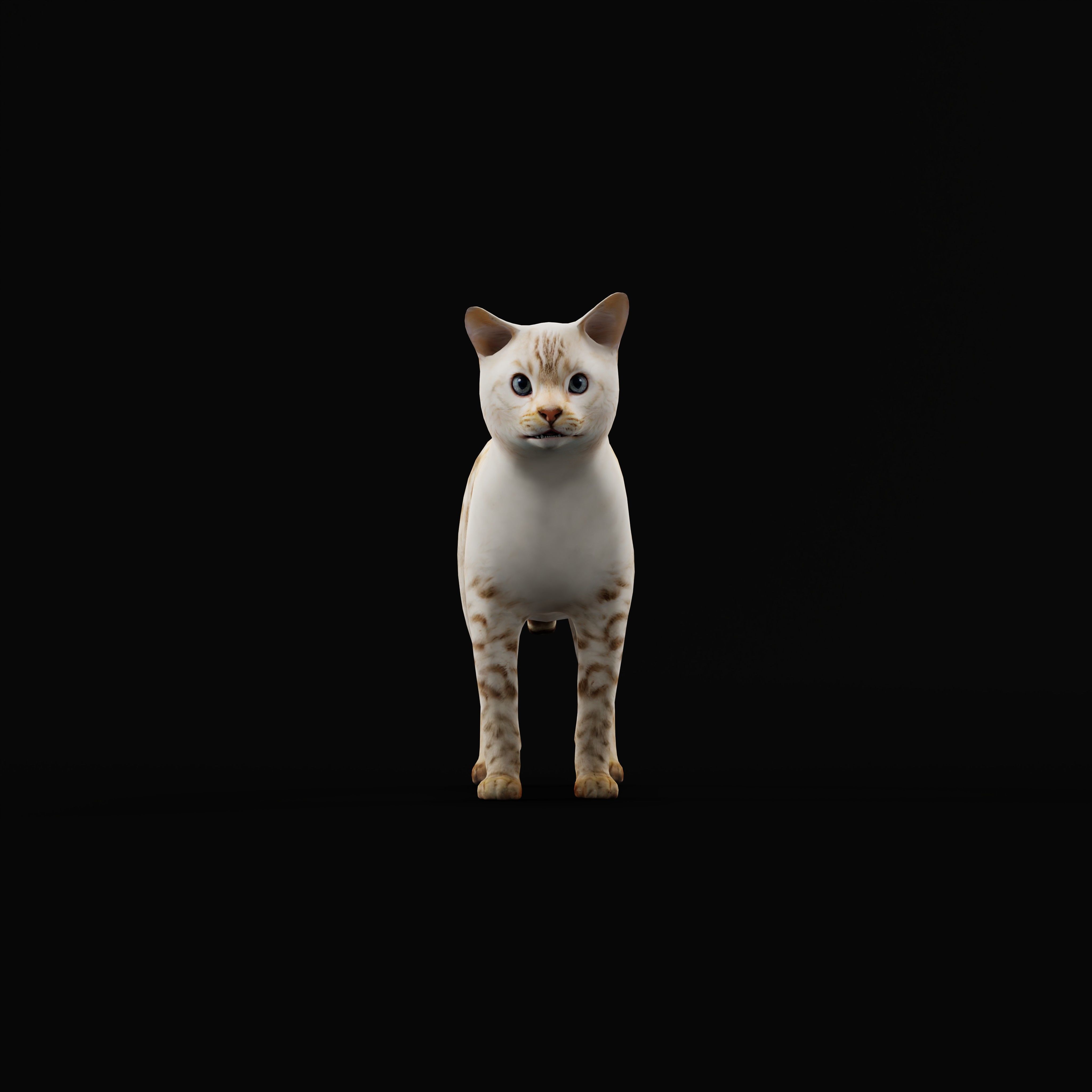Snow Bengal Cat Low-poly 3D model_10
