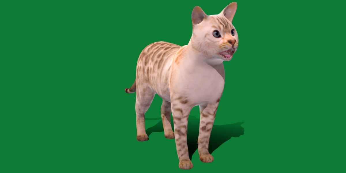 Snow Bengal Cat Low-poly 3D model_25