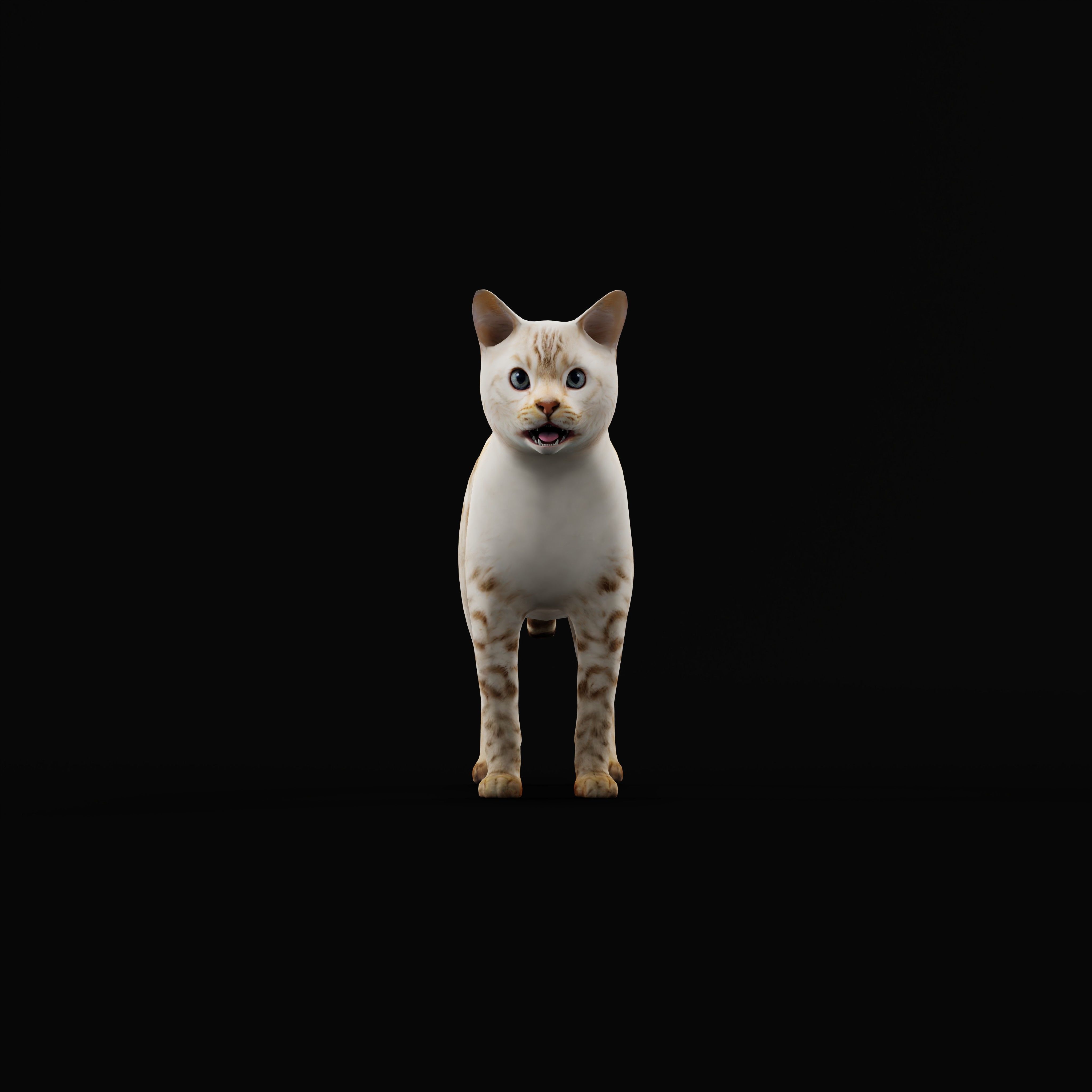 Snow Bengal Cat Low-poly 3D model_5
